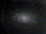 M33