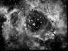 NGC-2237